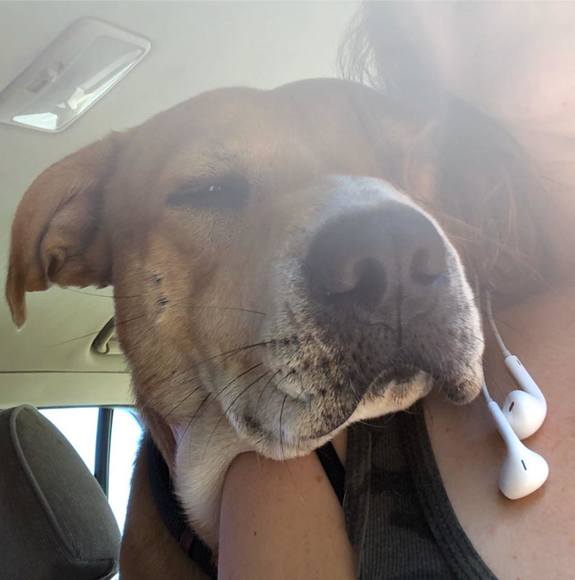 Meet your Posher, Sandy - Picture 1 of 1